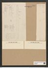 Ardissonia ? baculus (Greg.) Grun. (de-Toni-Nr.: Genus 68, Species 2682) Zeichnungen Sammlung Grunow Nr. 5494 (NHMW-BOT-W0373928)